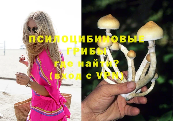 марки nbome Бородино