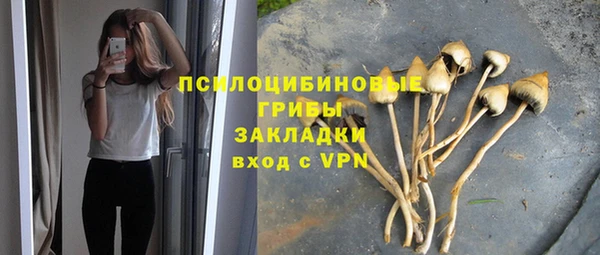 марки nbome Бородино