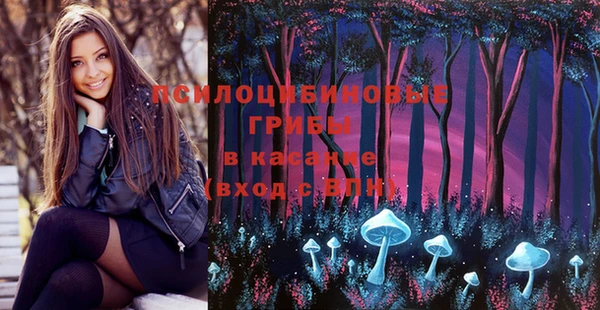 марки nbome Бородино