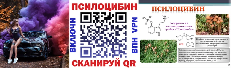 Купить закладки  Колпашево  Псилоцибиновые грибы прущие грибы 